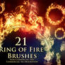 21 Ring of Fire Brushes