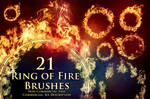 21 Ring of Fire Brushes by XResch