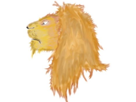 Lion :3