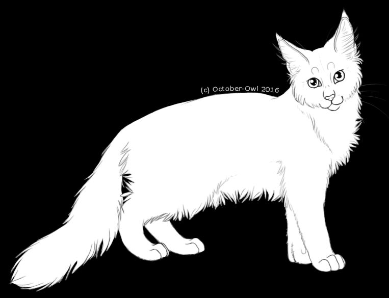 F2U Young Cat Lineart by RaccoonRae on DeviantArt