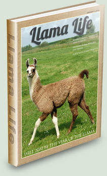 The Llama Hustle