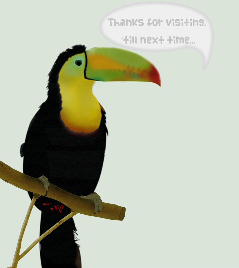 Toucan