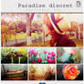 Paradise discret PSD