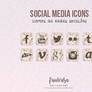 Social media icons - png