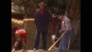 A Day at Old MacDonald's Farm