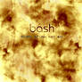 Bash -- Mixed Brush Set_10