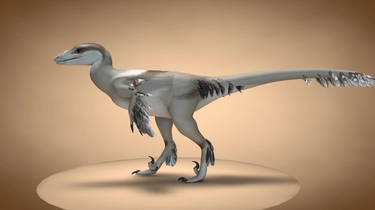 3D Troodon