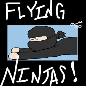 Flying Ninja Attack