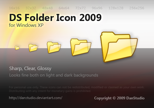 DS Folder Icon 2009