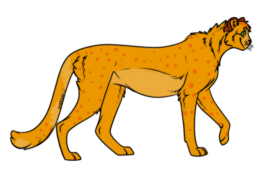 Cheetah Adopt!!