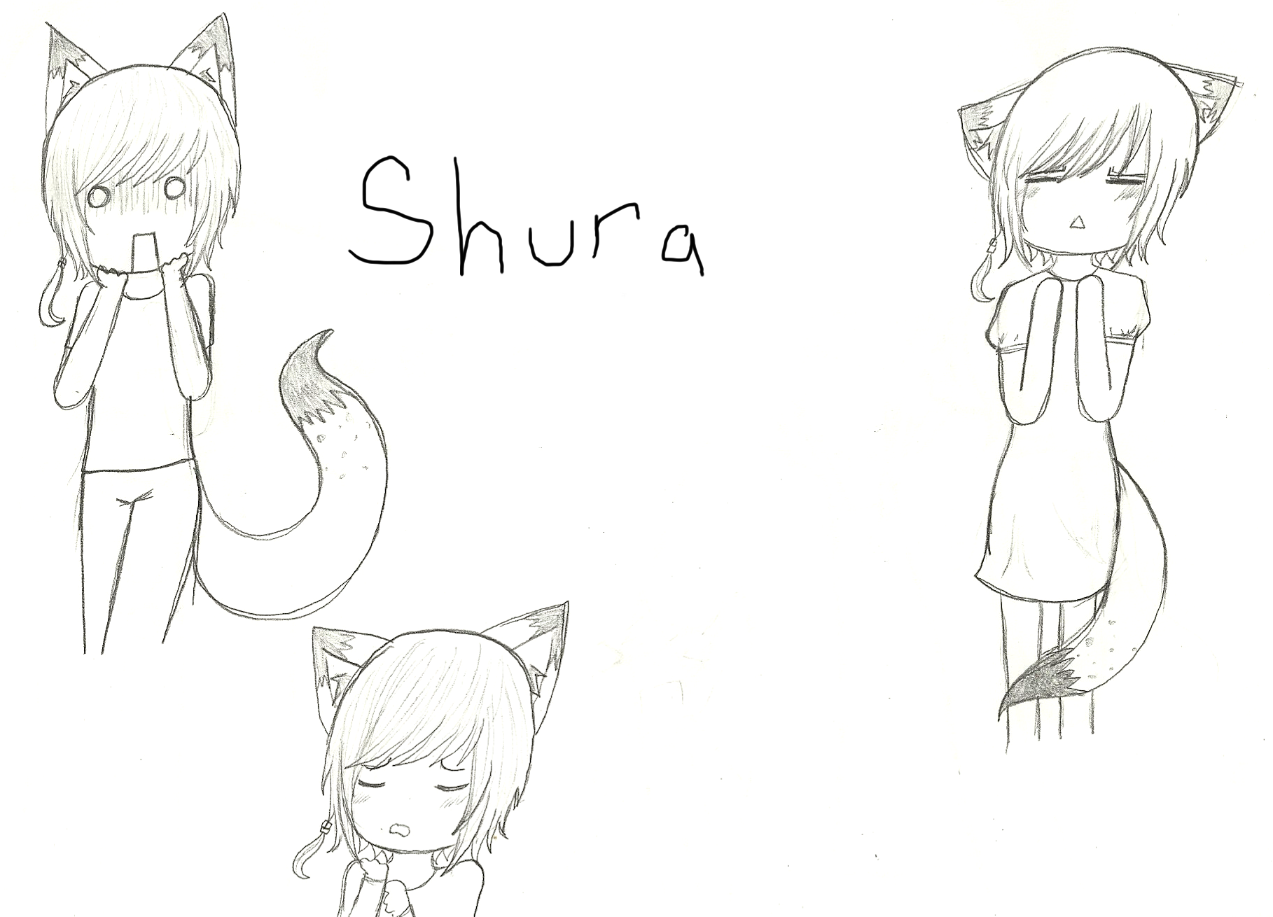 Shura by samakowolf on DeviantArt