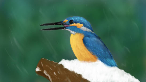 Kingfisher ... Digital Painting Practice ..