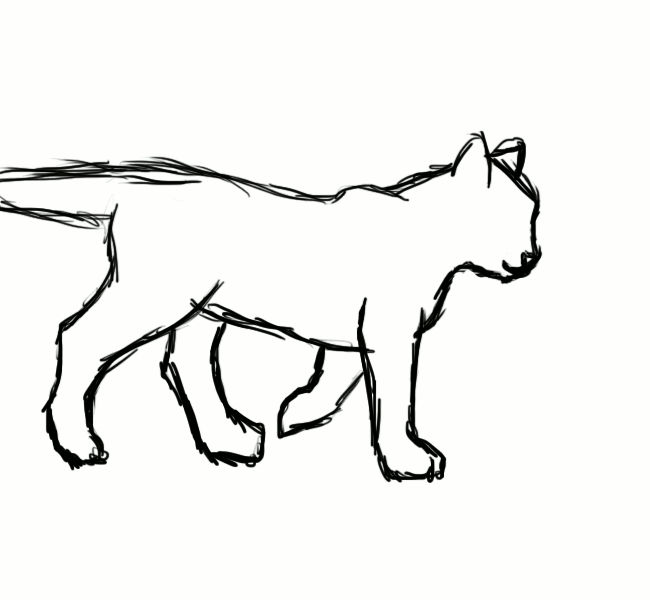 Cat Walk Cycle by MyGodLives on DeviantArt