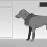 Canine base | Pay to use