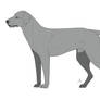 Catahoula base | Pay to use