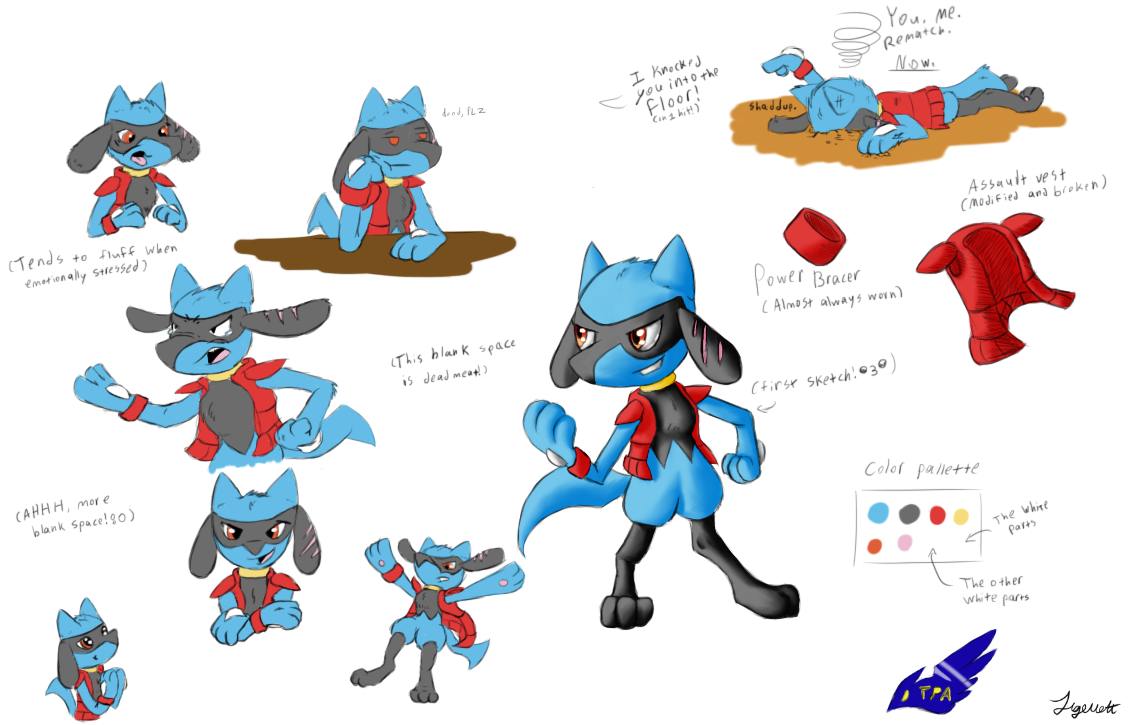 Assault Vest Pokemon