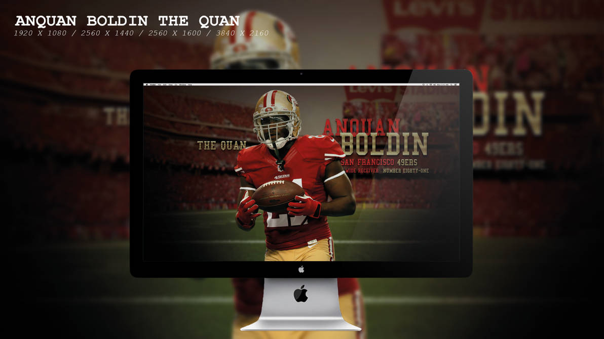 Anquan Boldin The Quan Wallpaper HD by BeAware8 on DeviantArt