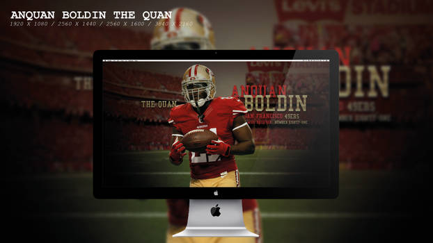 Anquan Boldin Wallpaper