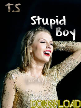 Taylor Swift- Stupid Boy