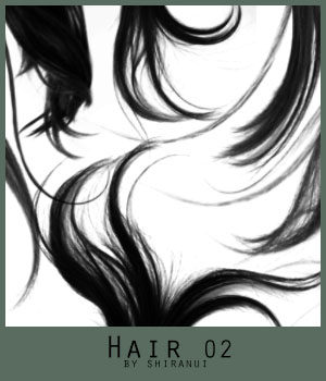 Hair 02