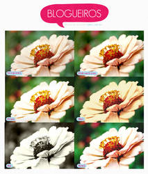Blogueiros