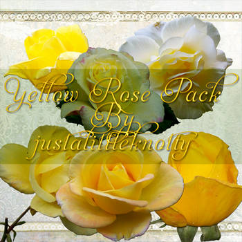 Yellow Rose Pack