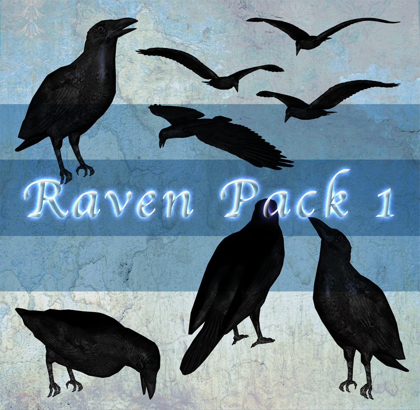 Raven Pack 1