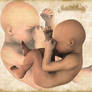 Human Infant 0r Fetus