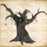 Witch Tree