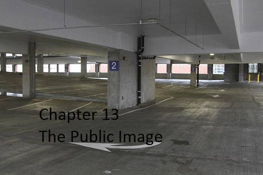 Chapter 13  The Public Image