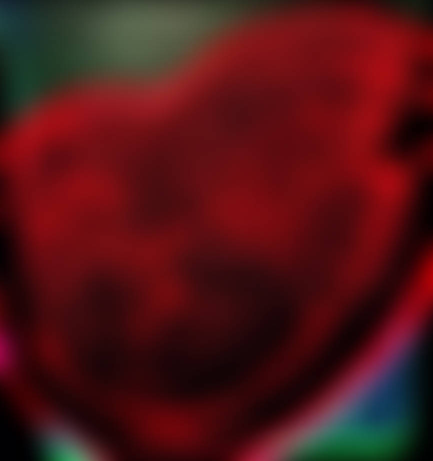 My heart for YOU...(Real Photo/No A.I.) by Jamonish on DeviantArt