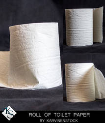 Roll of Toilet Paper (Stock)