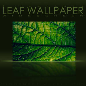 Leaf Wallpaper