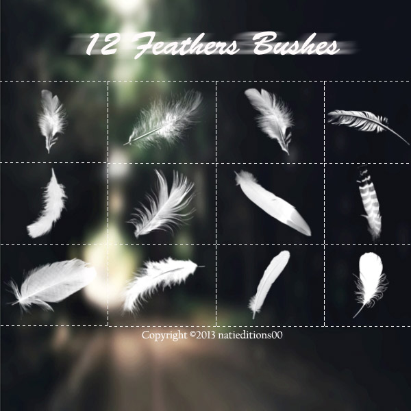 +12 Feathers Brushes.