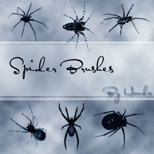 Spider Brushes