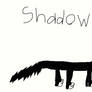 Shadow!