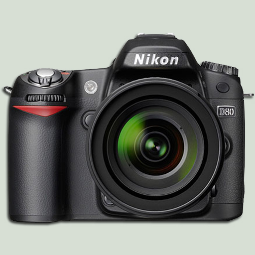 Nikon D80 Icon