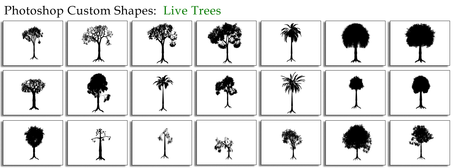 Live Trees