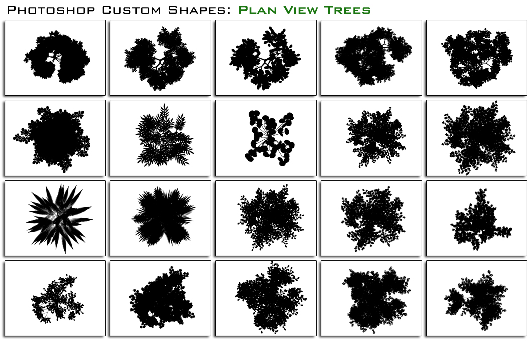 Photoshop Brushes - 48 Top View Trees (For Plans) - Studio Alternativi.