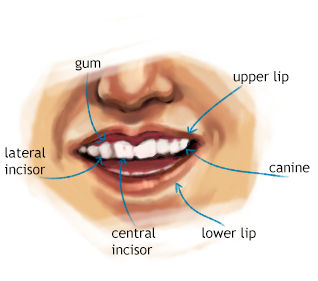 Sneak Peak: Mouth and Teeth Tutorial by Xadrea on DeviantArt