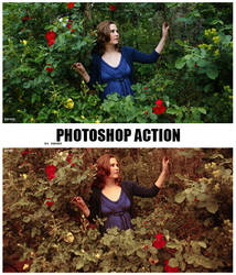 Photoshop Color Action