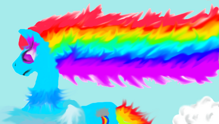 rainbow dash