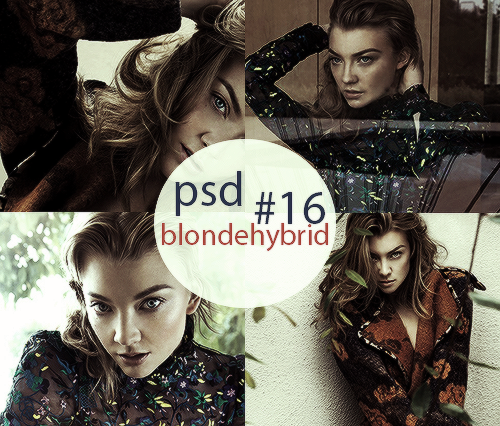 PSD #16