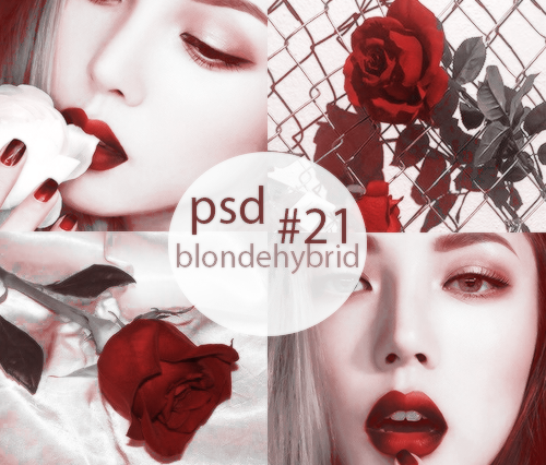 PSD #21