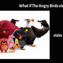 What if The Angry Birds visits Six Flags Over TX?