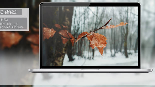 Snowy leaf