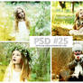 PSD #25, summer light