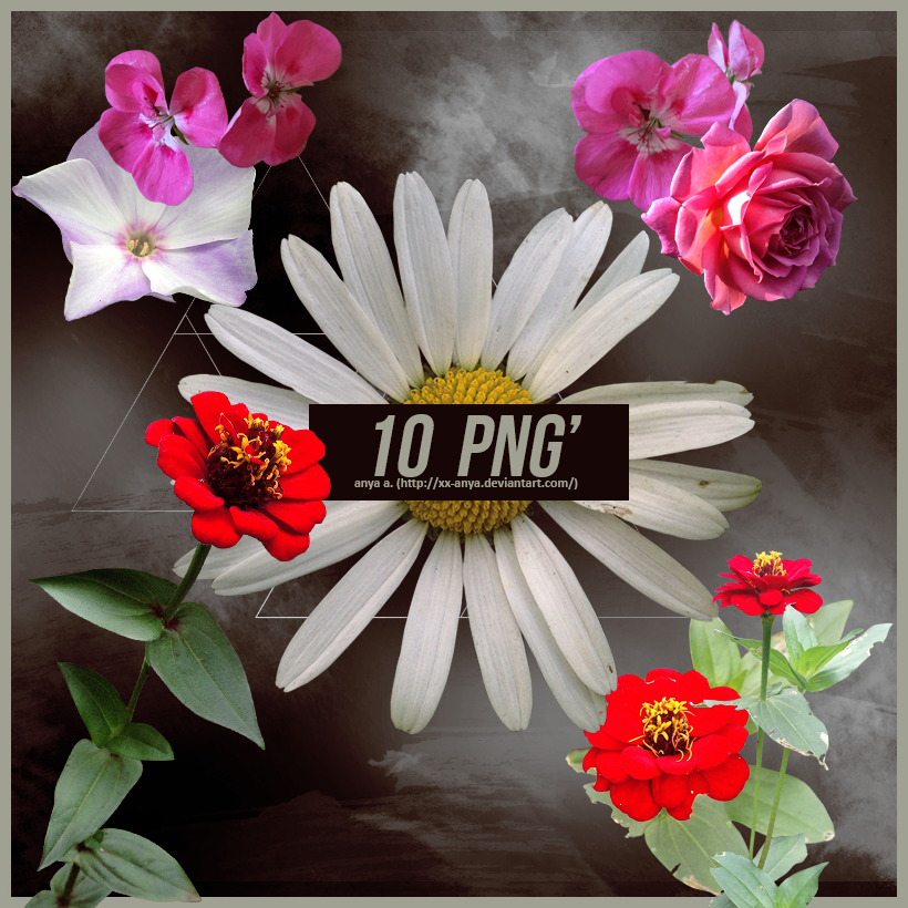 10 PNG', Flowers