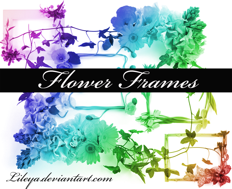 Flower Frame brushes imagepack