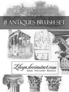 Antiques brush set